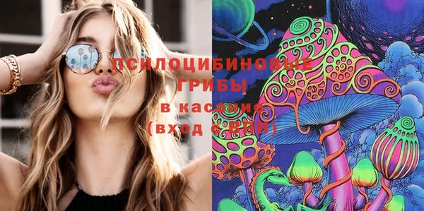 гидра Балабаново