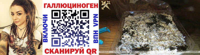 это формула  omg   Лаишево  Псилоцибиновые грибы Cubensis 